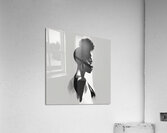 Silhouette of Strength Collection 2 - The Artful Mane 13 Acrylic Print