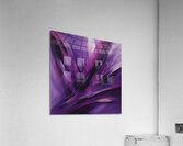 The Purle Aurora 1 Acrylic Print