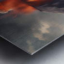 TAME Gallery 1 1 Metal print