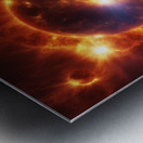 TAME Gallery 1 10 Metal print