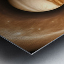 TAME Gallery 1 21 Metal print