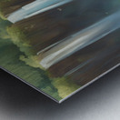 TAME Gallery 1 25 Metal print