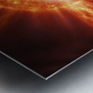 TAME Gallery 1 32 Metal print