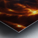 TAME Gallery 1 45 Metal print