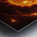 TAME Gallery 1 46 Metal print