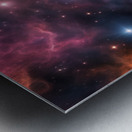 TAME Gallery 1 49 Metal print