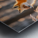 Winter Wonderland & Christmas Celebration 17 Metal print