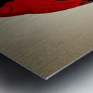 The Observing Cardinal  Metal print