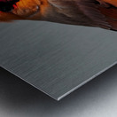 Introspective. Metal print