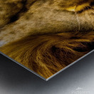 Focused. Eyes. Impression metal