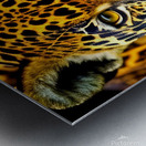 Moment of Clarity.  Metal print