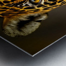 On Sight. Eyes. Metal print