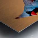 Colorful Cardinal  Impression metal
