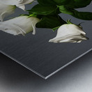 Vase of Peace. Metal print