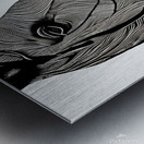 Claire. Horse. Line Art. Metal print