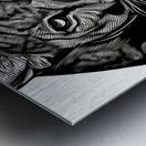 Comfort Zone.  Metal print