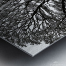 Tree of Life 2 Metal print