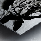 Emilie - Show Horse Impression metal