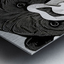 The Bear. Line Art. Metal print