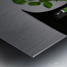 The Empty Vase Metal print