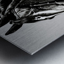 Sinbad. Horse. Line Art. Metal print