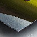 Serene. Elephants Metal print