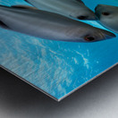 The Deep Dive Metal print