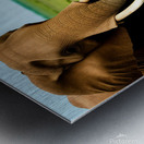 Elephant Love.  Metal print