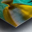 The Tail End. Metal print