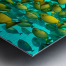 Infiltrated.  Metal print