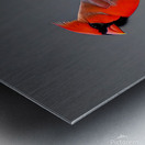 Unamused. Cardinal. Metal print