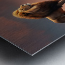 The Artful Gallery 24 Metal print