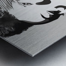 Silhouette of Strength Collection 1 - The Artful Mane 3 Impression metal