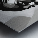 Silhouette of Strength Collection 1 - The Artful Mane 6 Metal print