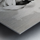 Silhouette of Strength Collection 1 - The Artful Mane 12 Metal print