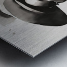 Silhouette of Strength Collection 1 - The Artful Mane 17 Metal print