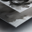 Silhouette of Strength Collection 1 - The Artful Mane 36 Metal print