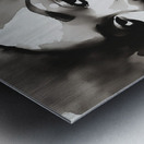 Silhouette of Strength Collection 1 - The Artful Mane 42 Metal print