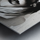 Silhouette of Strength Collection 1 - The Artful Mane 44 Impression metal