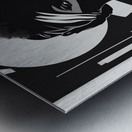 Silhouette of Strength Collection 1 - The Artful Mane 54 Metal print