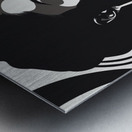 Silhouette of Strength Collection 2 - The Artful Mane 7 Metal print