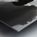 Silhouette of Strength Collection 2 - The Artful Mane 11 Metal print