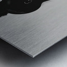 Silhouette of Strength Collection 2 - The Artful Mane 13 Metal print