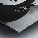 Silhouette of Strength Collection 2 - The Artful Mane 16 Metal print