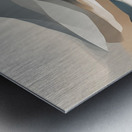 A Touch of Color: Celebrating Hue at The Artful Mane 8 Metal print