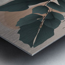 A Touch of Color: Celebrating Hue at The Artful Mane 26 Metal print