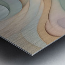 A Touch of Color 2: Celebrating Hue at The Artful Mane 15 Metal print