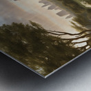 A Touch of Color 2: Celebrating Hue at The Artful Mane 25 Metal print