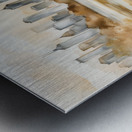 A Touch of Color 2: Celebrating Hue at The Artful Mane 50 Metal print