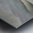 A Touch of Color 2: Celebrating Hue at The Artful Mane 54 Metal print